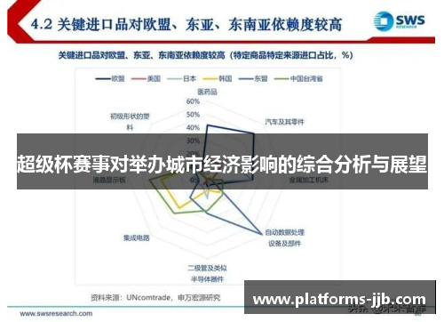 超级杯赛事对举办城市经济影响的综合分析与展望