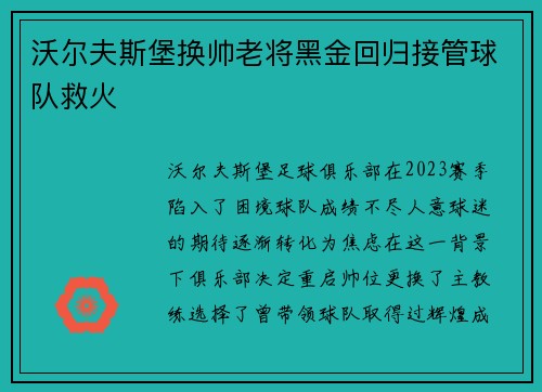 沃尔夫斯堡换帅老将黑金回归接管球队救火